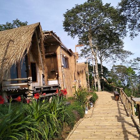 Wanagiri Campsite Gitgit Esterno foto