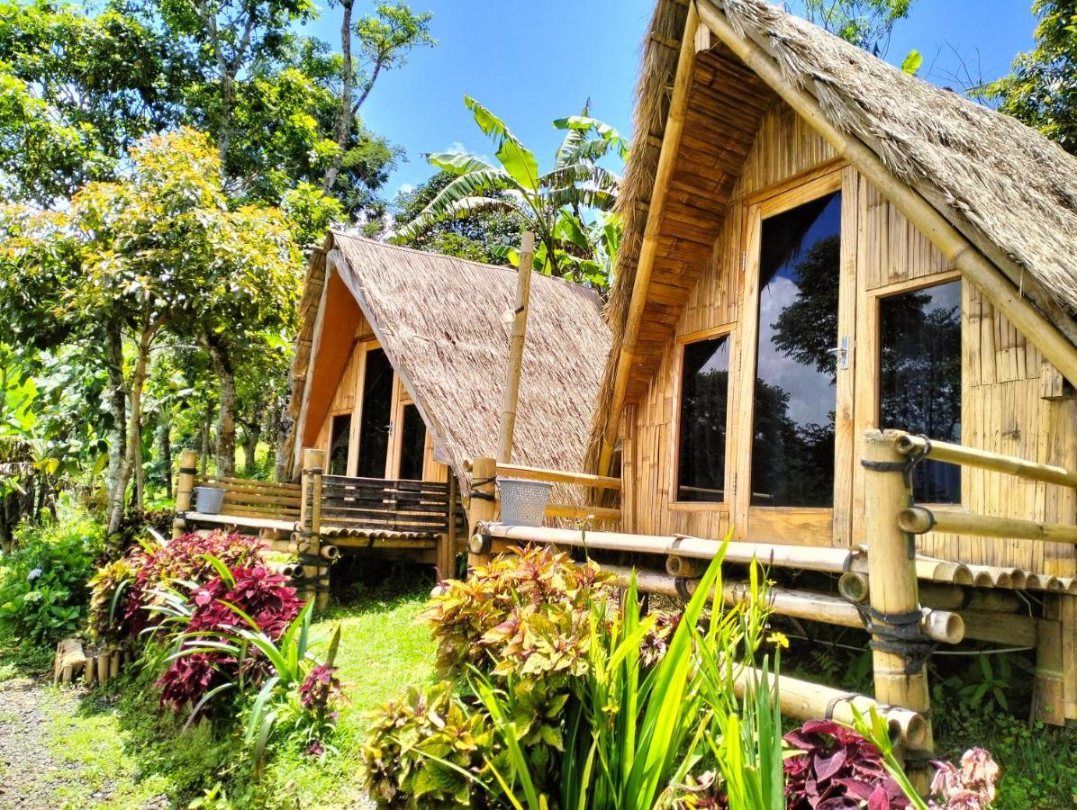 Wanagiri Campsite Gitgit Esterno foto