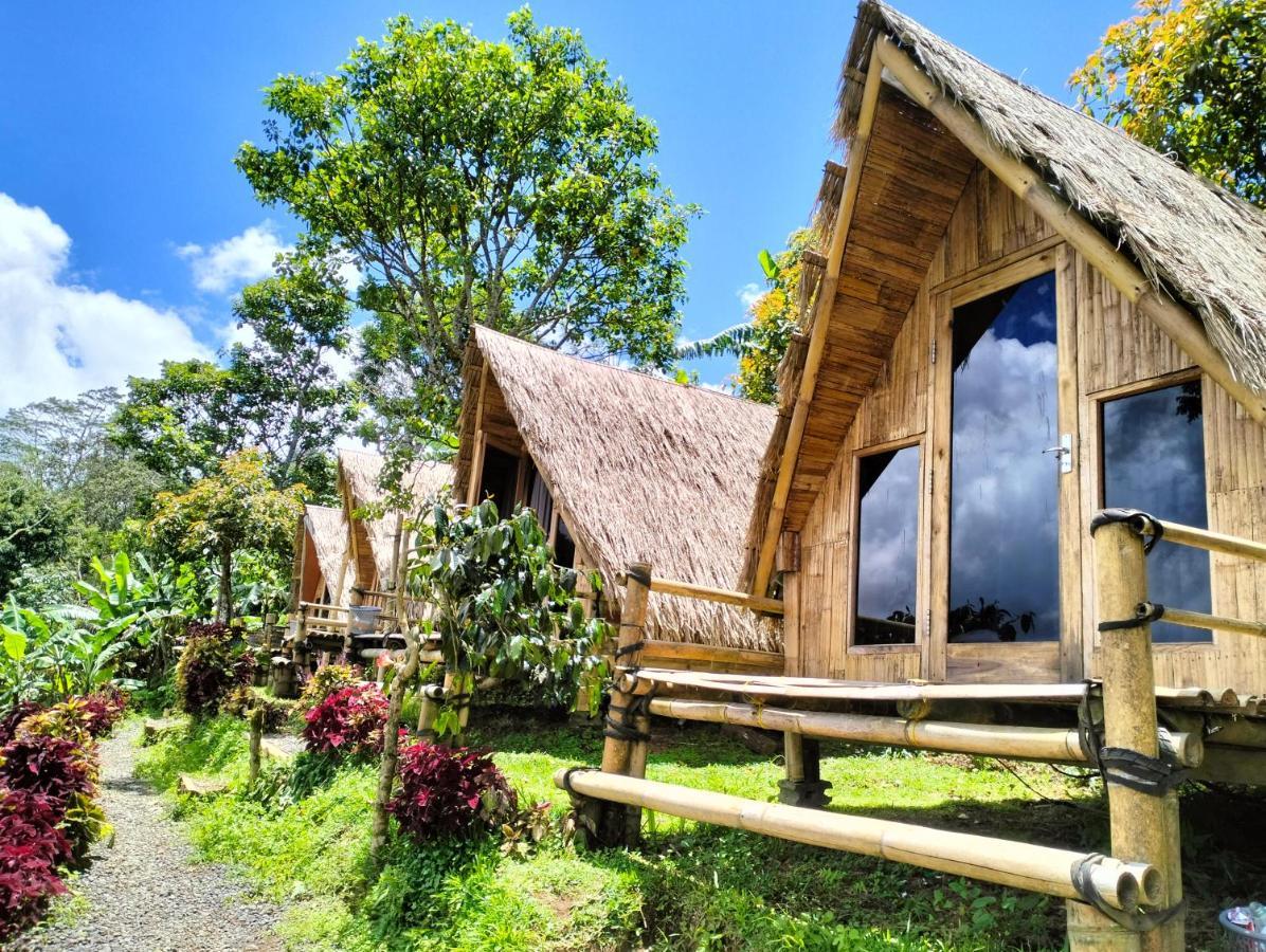 Wanagiri Campsite Gitgit Esterno foto