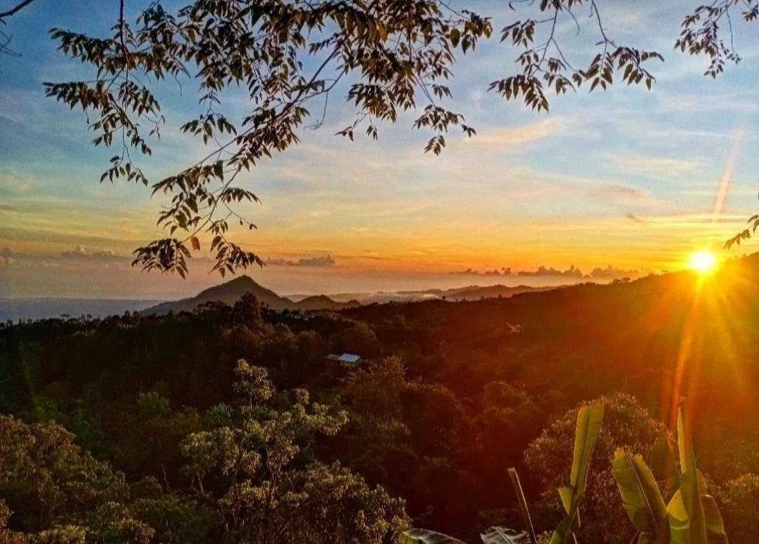 Wanagiri Campsite Gitgit Esterno foto